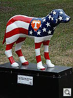 Click to see YZ5PICT0032.JPG