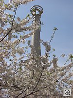 Click to see yCIMG0547.JPG