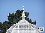 Click to see Y100_0539.JPG