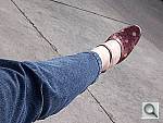Click to see Y100_0557.JPG