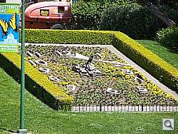 Click to see Y100_0540.JPG