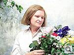 Click to see Z712ISINTP4.JPG