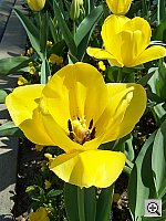 Click to see y100_0556.JPG