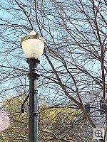 Click to see y100_0577.JPG