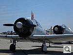 Click to see YCIMG0425.JPG