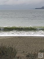 Click to see YCIMG4819.JPG