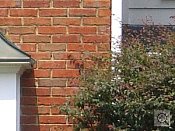 Casio Exilim EX-Z750 digital camera image