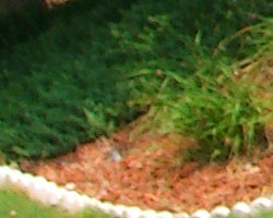 Casio Exilim EX-Z750 digital camera image