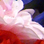 Casio Exilim EX-Z750 digital camera image