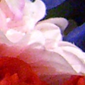 Casio Exilim EX-Z750 digital camera image