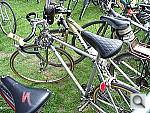 Click to see Y100_0420.JPG