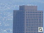 Click to see YP1000346.JPG