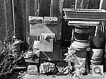 Click to see YP1000386.JPG