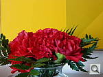 Click to see YP1000396.JPG