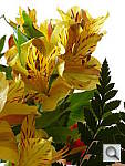 Click to see YP1000400.JPG