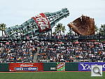 Click to see YP1000455.JPG