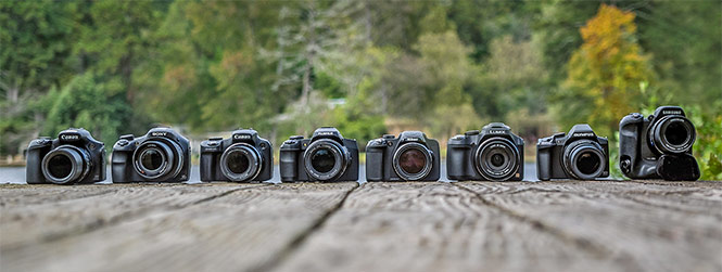 Best Superzoom 2014