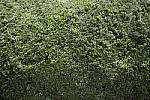 Click to see Y-Sigma24-70A-1DXII-CQ3I8632.JPG
