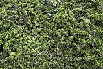 Click to see Y-Sigma24-70A-1DXII-CQ3I8692.JPG