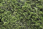 Click to see Y-Sigma24-70A-1DXII-CQ3I8697.JPG