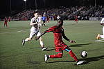 Click to see YCQ9I0560.JPG