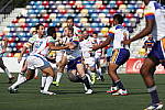 Click to see YCQ9I0767.JPG