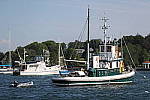 Click to see YCQ9I1869.JPG