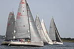 Click to see YCQ9I2536.JPG