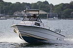 Click to see YCQ9I2645.JPG