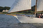 Click to see YCQ9I3251.JPG