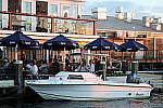 Click to see YCQ9I3446.JPG