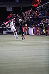 Click to see YCQ9I9707.JPG