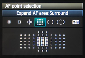 Canon 1D X Mark II Review -- Sample Image