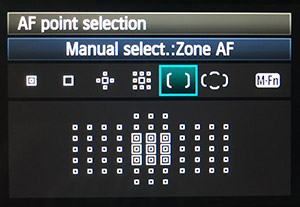 Canon 1D X Mark II Review -- Sample Image