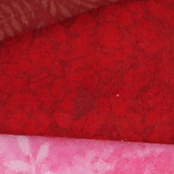 100% crop from Canon 1D X Mark II test image taken at ISO 1600