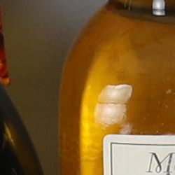 100% crop from Canon 1D X Mark II test image taken at ISO 1600