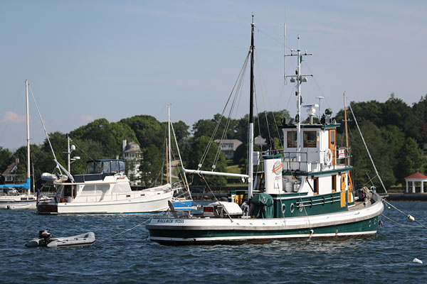 Canon 1DX II review -- Sample photo