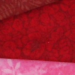 100% crop from Canon 1D X test image taken at ISO 3200