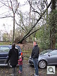 Click to see YIMG_0212.JPG