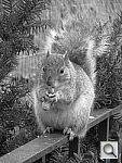 Click to see YIMG_0243.JPG