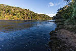 Click to see Y-WB-786A1205-EDIT.JPG