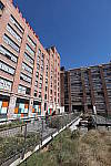 Click to see Y-WB-786A1472.JPG