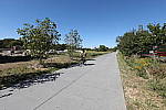Click to see Y-WB-786A1489.JPG