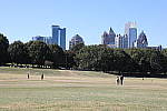 Click to see Y-WB-786A1515.JPG