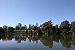Click to see Y-WB-786A1533.JPG