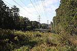 Click to see Y-WB-786A1598.JPG