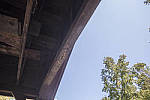 Click to see Y-canon-5div-review-786A8367-DyRa-ShHi-100.jpg