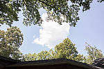 Click to see Y-wb-5div-786A8372-2stop-RAWedit.jpg