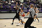 Click to see Y786A3668.JPG