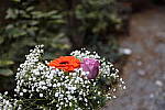 Click to see Y786A3756-allzero.JPG